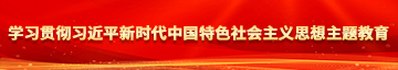 狠狠地插入嫩穴视频学习贯彻习近平新时代中国特色社会主义思想主题教育