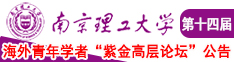 猛C性感学生妹好爽啊南京理工大学第十四届海外青年学者紫金论坛诚邀海内外英才！